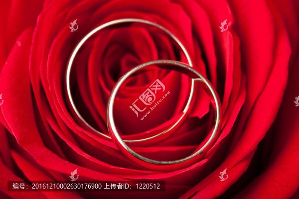 紅玫瑰上的結(jié)婚戒指