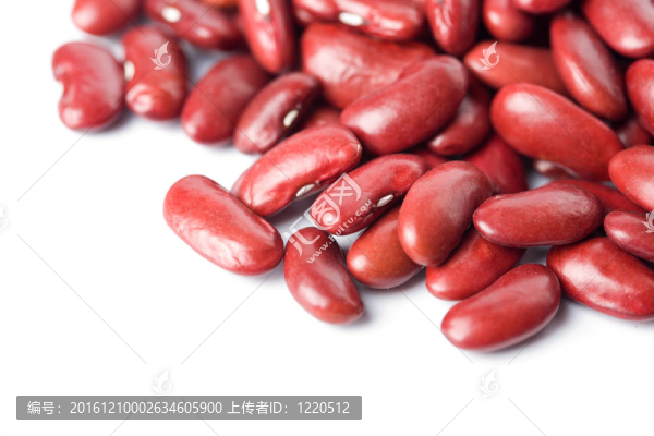 紅扁豆分離
