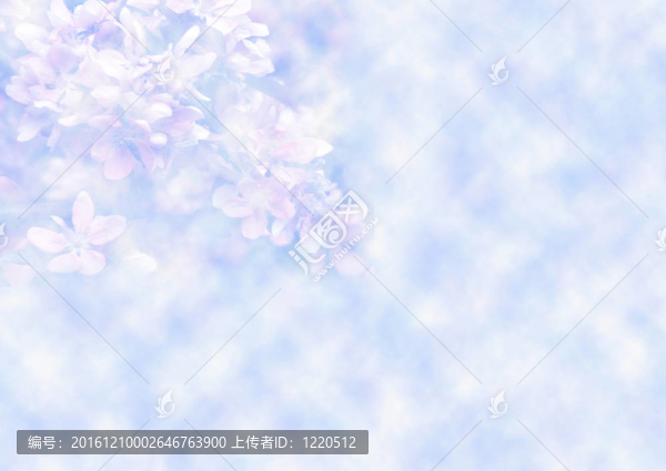 花的背景