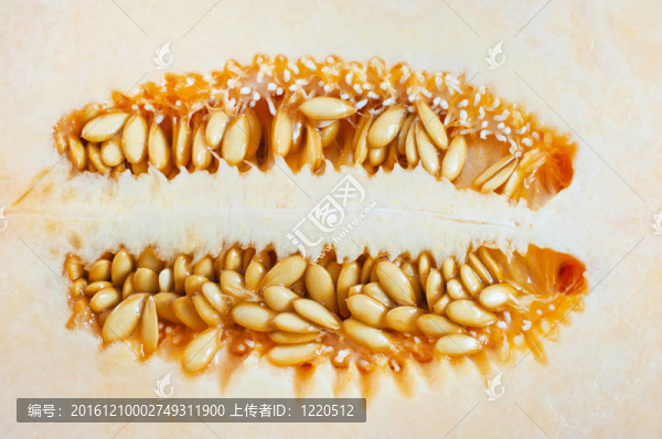 香瓜切了宏觀