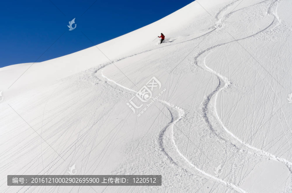 在深粉雪滑雪