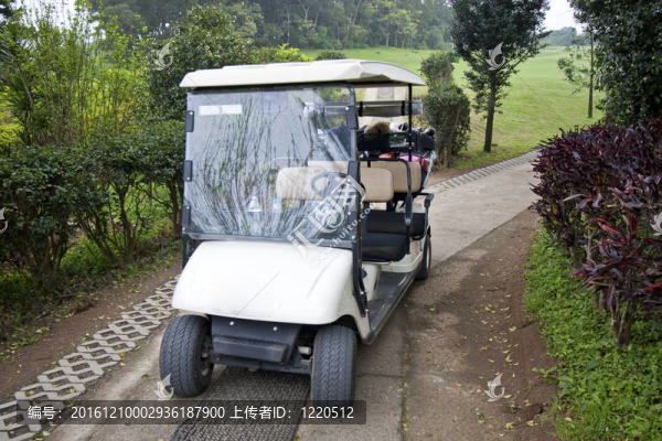 熱帶的高爾夫球車
