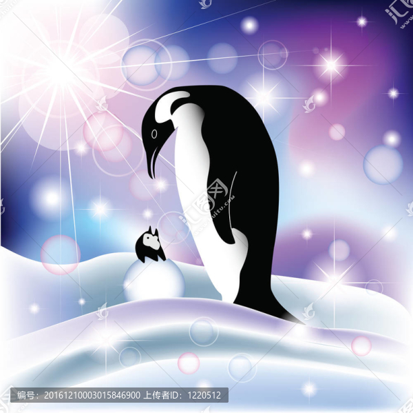 冰雪背景下的母企鵝和企鵝