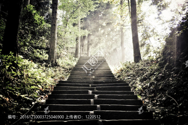 上樓樓梯
