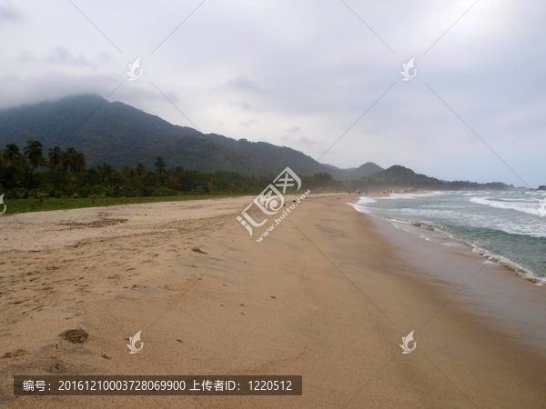 海灘和游客