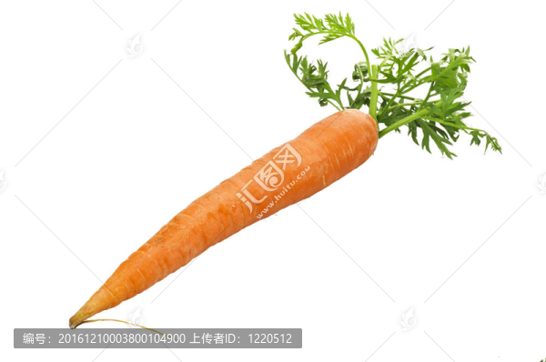 新鮮胡蘿卜在白色