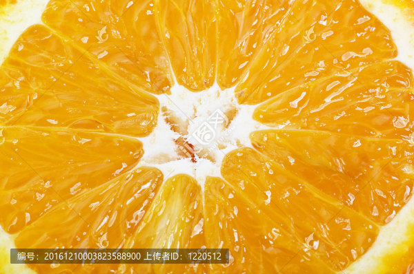 白色的橘子片
