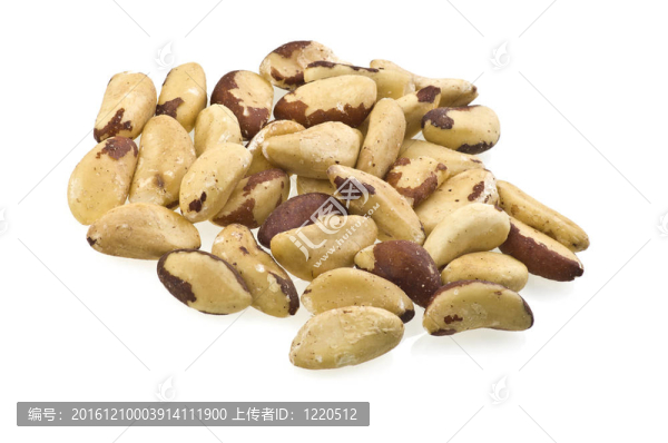 巴西堅果（Bertholletia棕竹）關閉了白