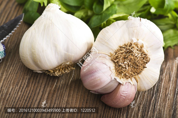 白色背景上的大蒜