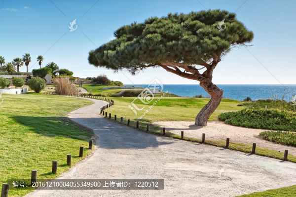 葡萄牙海岸花園。