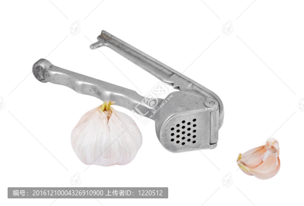 大蒜壓榨和大蒜；白色背景分離