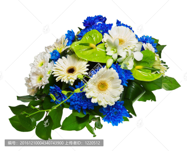 束非洲菊；菊花、紅掌