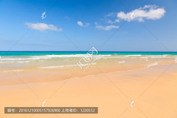 海灘的美麗