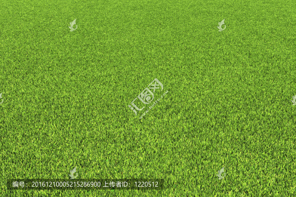 草地背景。