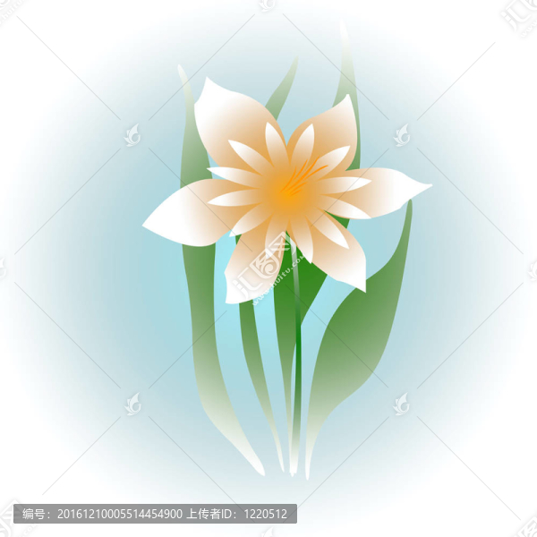 柔軟的白色的花