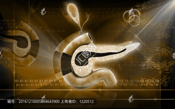 胰腺