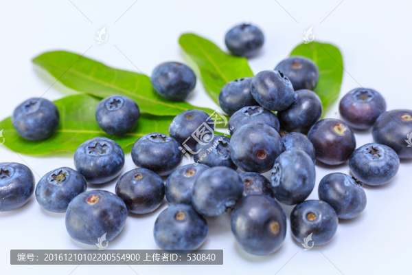 藍莓