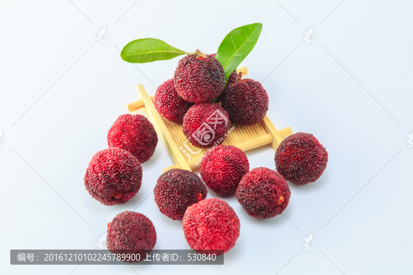 楊梅