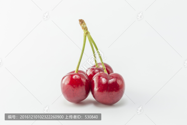 櫻珠