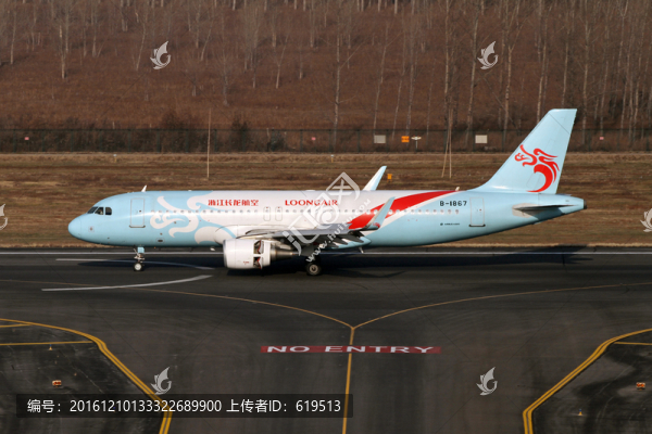長(zhǎng)龍航空,客機(jī)
