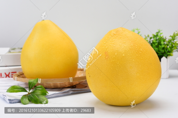 柚子