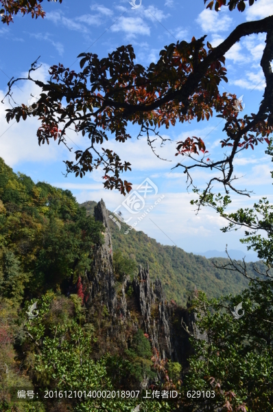 南宮山秋色