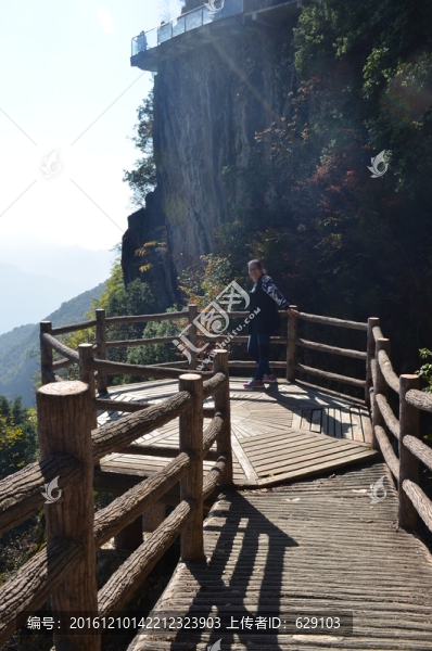 觀景臺
