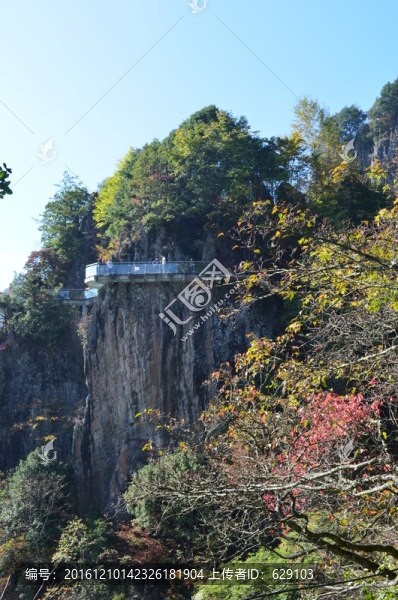 南宮山秋色