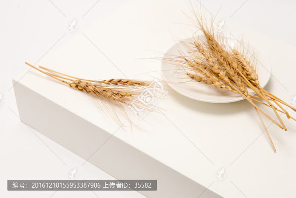 小麥穗