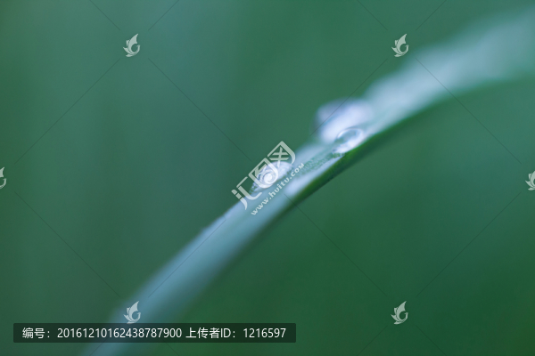新雨過后