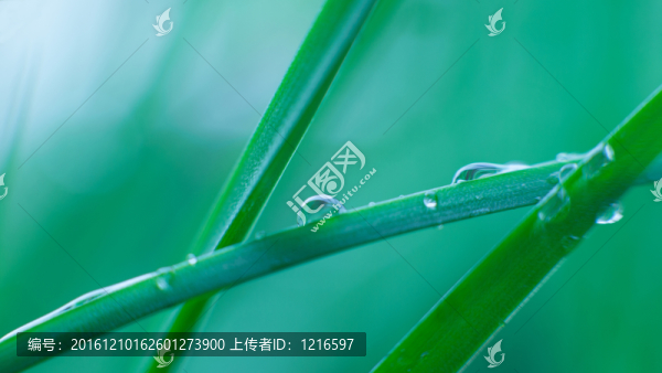 新雨過后