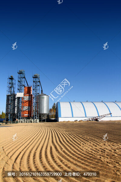 加工廠,米業(yè),水稻,稻谷