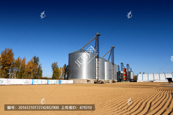 加工廠,米業(yè),水稻