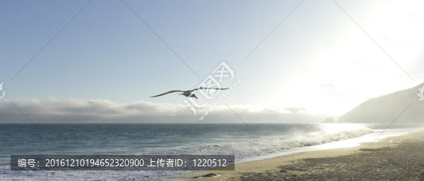 魚(yú)獵人