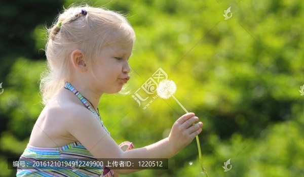 女孩與蒲公英