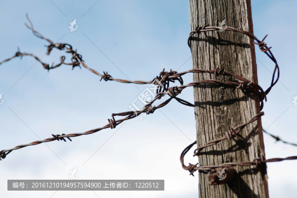 鐵絲網(wǎng)