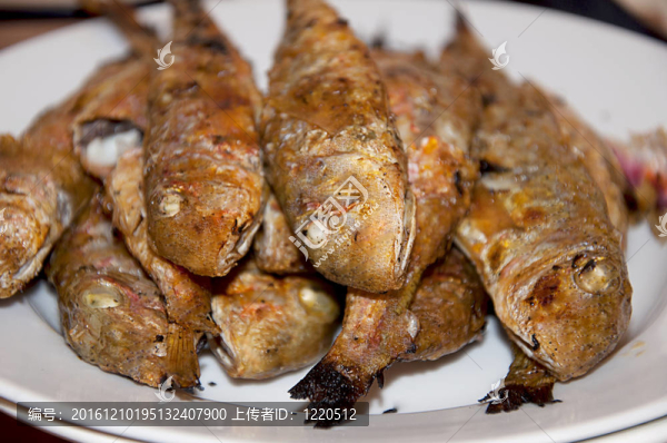 白盤子烤海魚