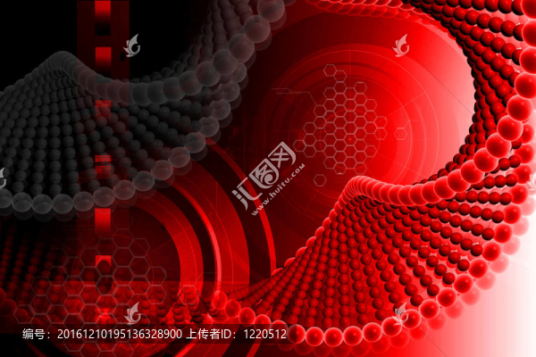 DNA