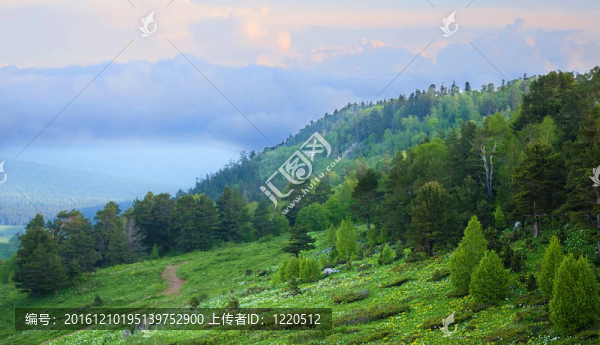 美麗的風(fēng)景