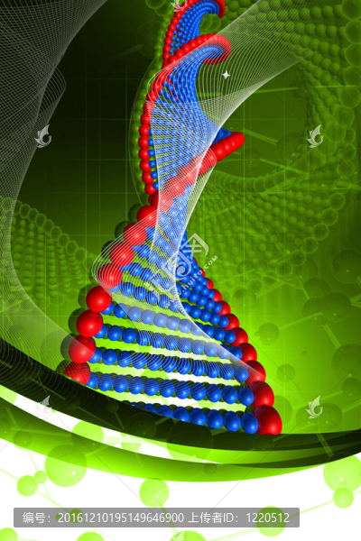 DNA