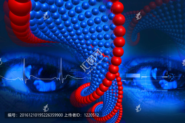 DNA和眼睛