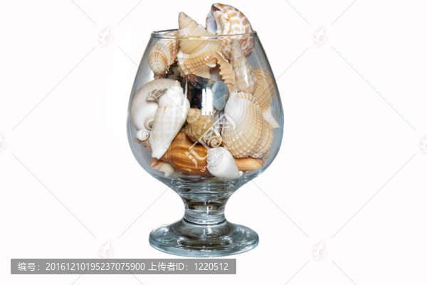 貝殼