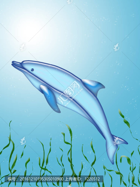海豚與藻類在水下游泳