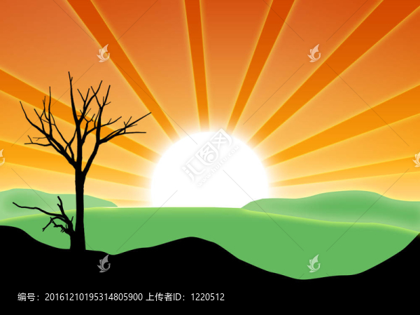 太陽云和樹景觀