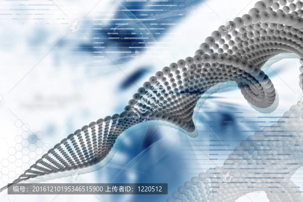 DNA