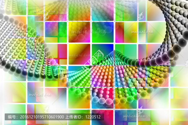DNA