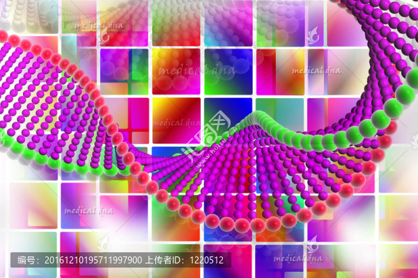 DNA