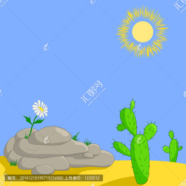 在石頭和仙人掌花