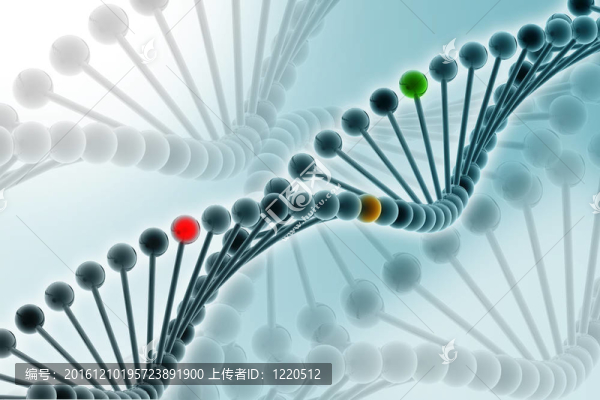DNA