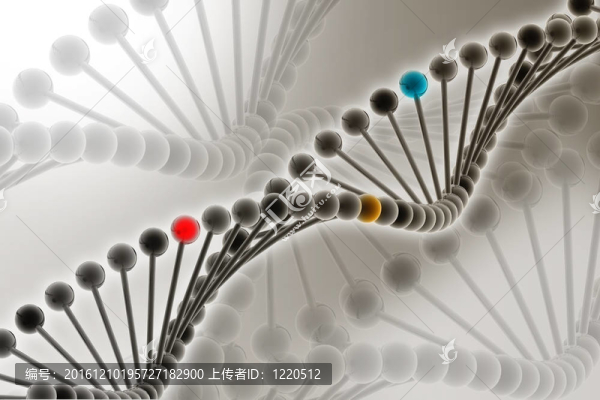 DNA